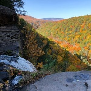 Meet your Posher, Fanny